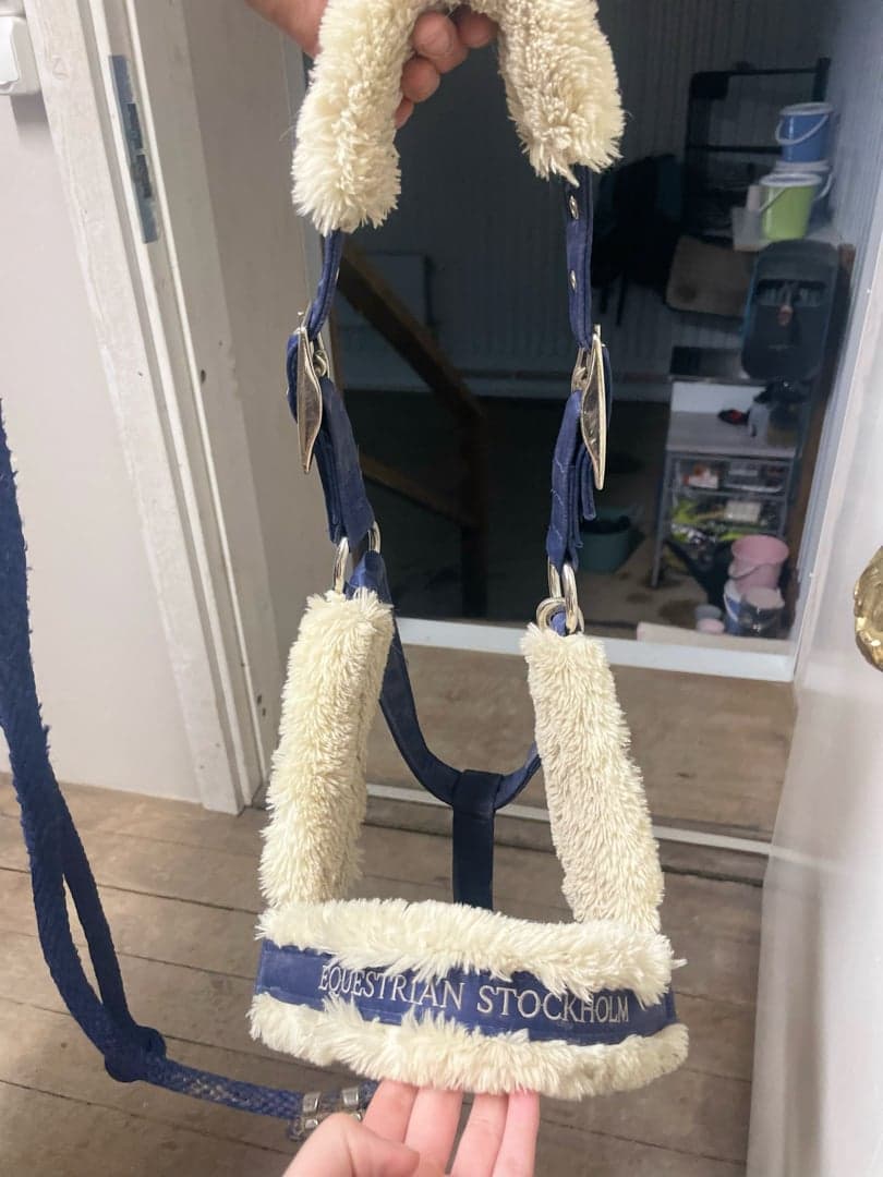 Bild 1 av Blå grimma och grimskaft från Equestrian Stockholm