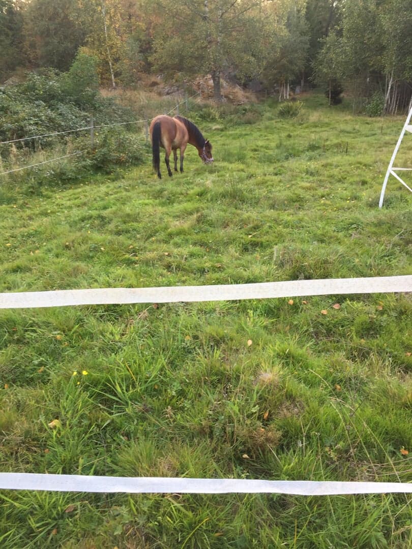 Bild 1 av placeholder text