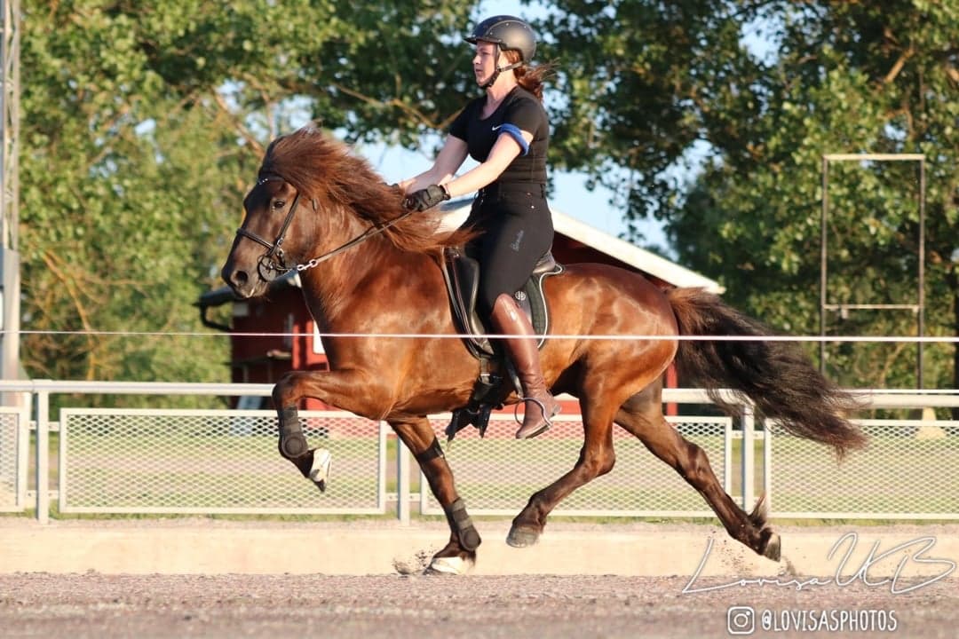 Bild 1 av placeholder text