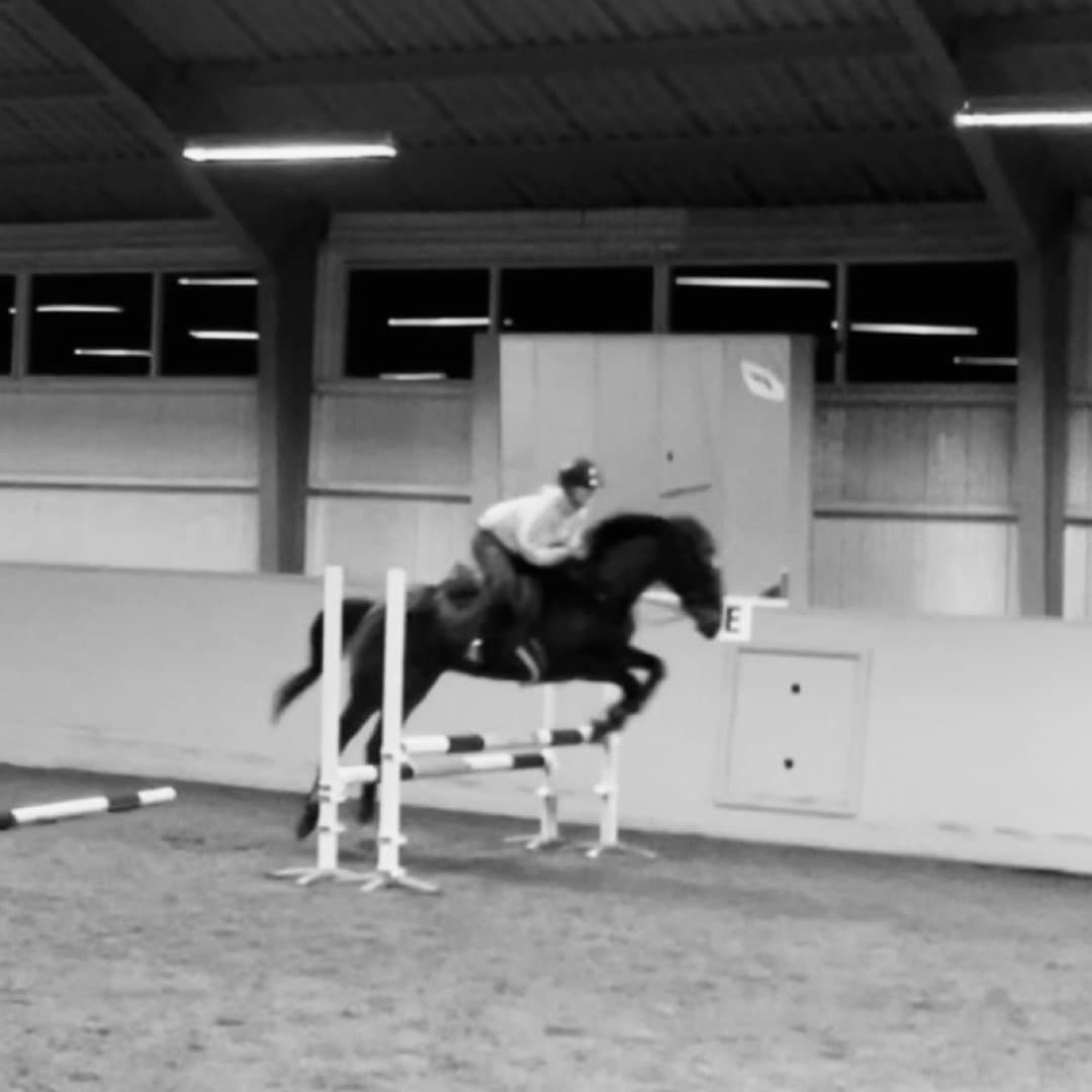 Bild 1 av placeholder text
