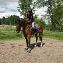 Profilbild av Filippa Hedlund