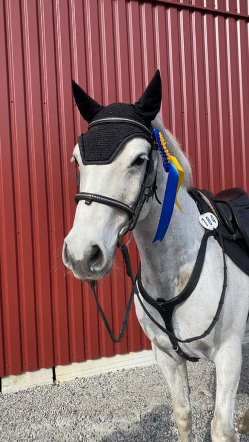 Image of D ponny med ett hjärta av guld