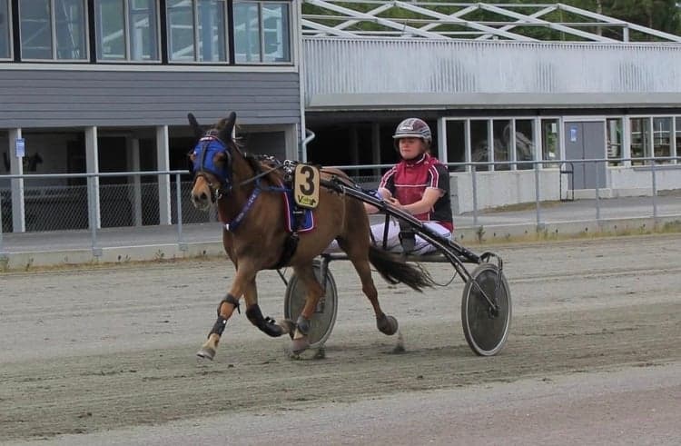 Bild 1 av placeholder text