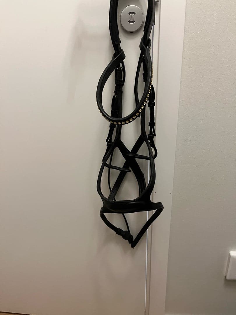 Bild 1 av Svart träns