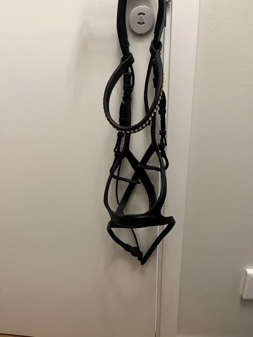 Bild av Svart träns