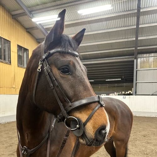 Profilbild av Emma Wetterlundh