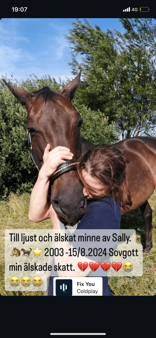 Image 2 of placeholder text