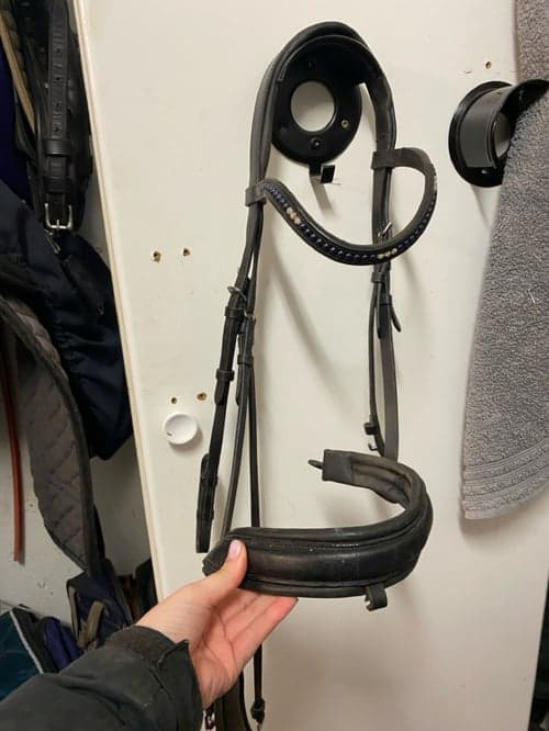 Bild av Svart Träns