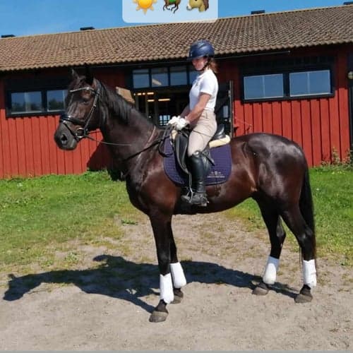 Profile picture of Juliana Stiernblad