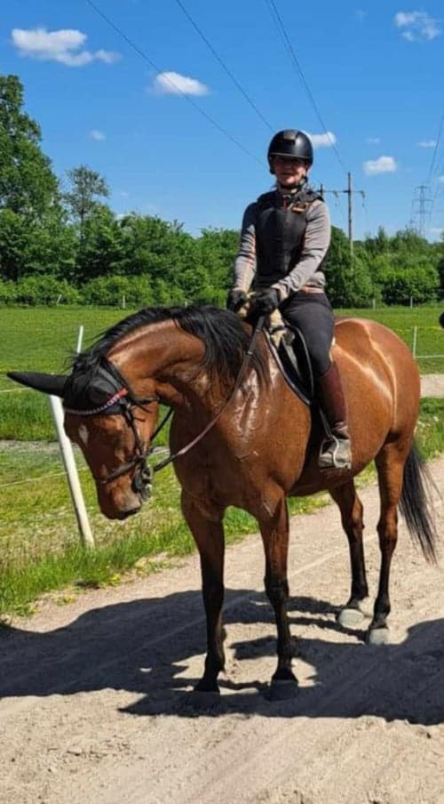 Bild av Snällt sto