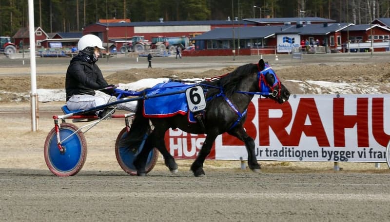 Bild 4 av placeholder text