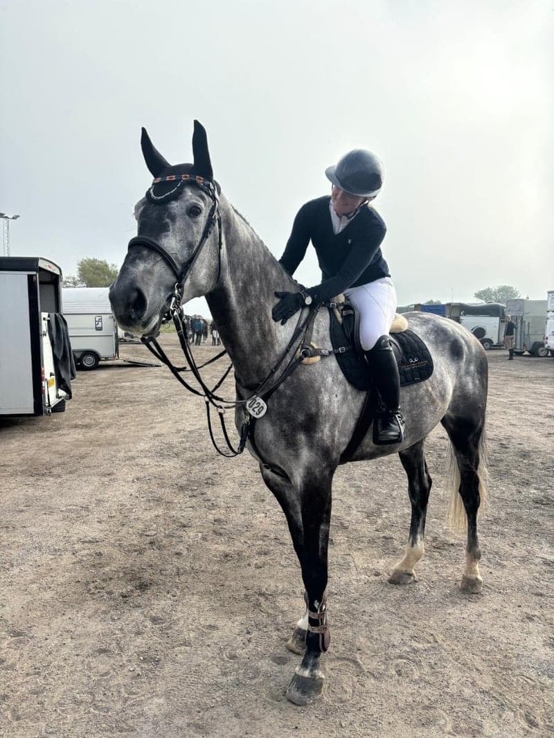 Bild 3 av Fantastisk all-round häst efter Kannatol 