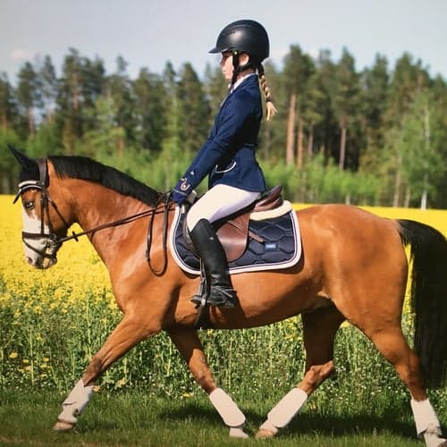 Profile picture of Maja Andersson