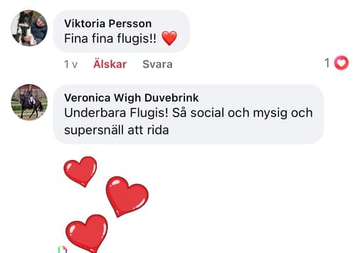 Bild av Snällt sto