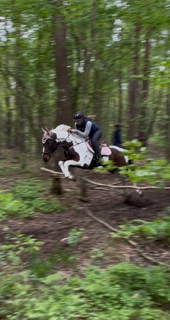 Bild 2 av Joe little