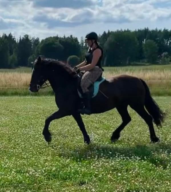 Bild 2 av Sto med potential 