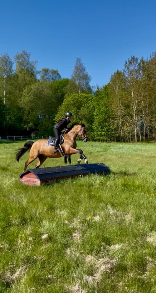 Bild av Okomplicerat sto