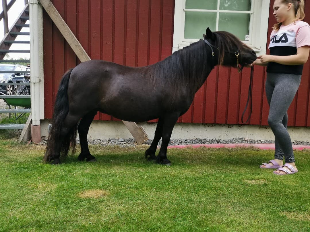Bild 1 av placeholder text
